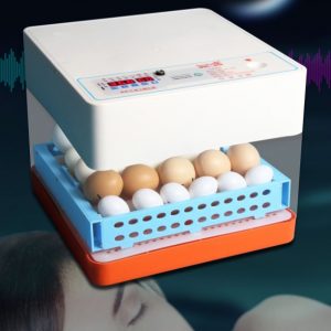 Incubator Small Home Machine Fully Automatic Intelligent