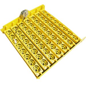 Smart home incubator