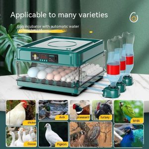 Small Household Automatic Intelligent Chicken Incubator