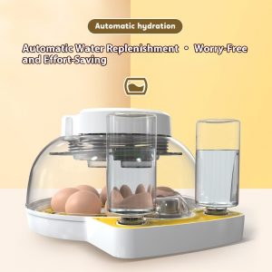 Incubator Small Household Automatic Bird Eggs