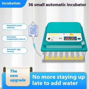 Automatic Incubator Small Intelligent Household Egg Incubator